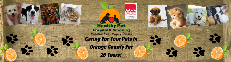 Healthy Pet Hospital - Veterinarian in Orange, CA